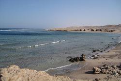 Marsa Alam - Red Sea Dive Holiday. 